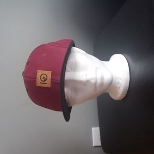 Tentree Cork Emblem Snapback Baseball Cap